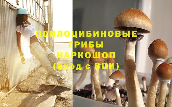 гидра Нягань