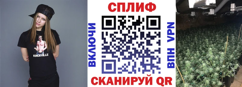 Купить  Переславль-Залесский  Конопля SATIVA & INDICA 
